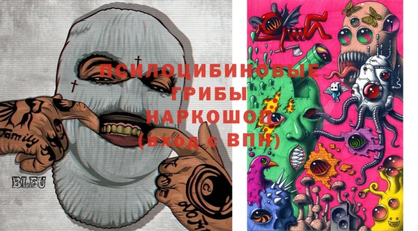 молекула духа Балабаново